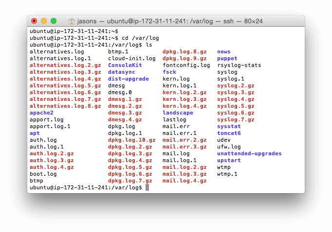 Linux system log terminal